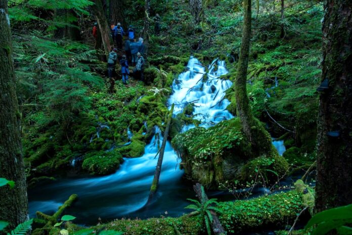 Scientists examine a large-volume spring in young volcanic rocks of the McKenzie River watershed on the west side of the Cascade topographic crest that was monitored as part of this study