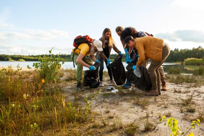 People helping in a lakeside cleanup.