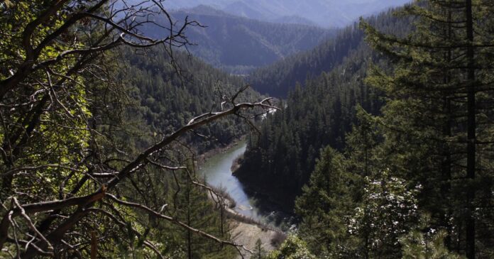 Trump's order to expand U.S. timber production includes all of California's national forests