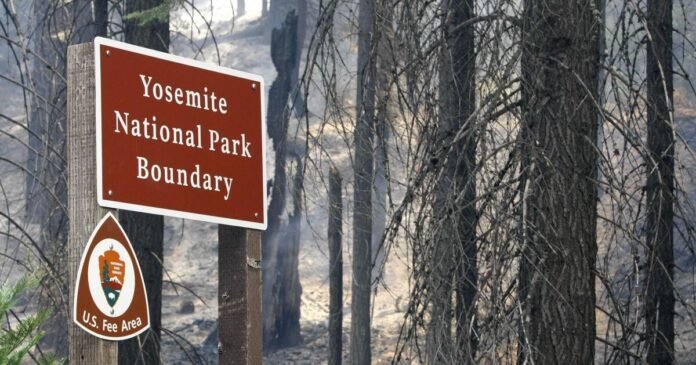 What L.A. can learn about wildfires from Yosemite's Rim fire recovery