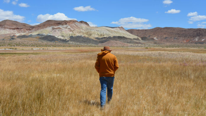Patrick Donnelly, the Great Basin director for the Center for Biological Diversity, walks through an alkaline meadow in Fish Lake Valley on May 6. The valley used to be home to a series of streams and lakes that once provided habitat for fish like the Fish Lake Valley tui chub. Credit: Wyatt Myskow/Inside Climate News