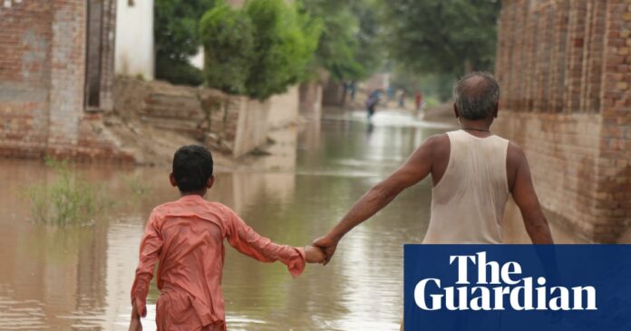 ‘Everything is gone’: Punjabi farmers suffer worst floods in three decades