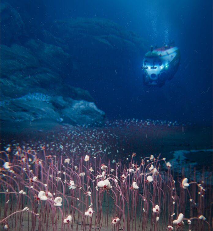 Researchers created this composite image of their submersible deep in the Mariana Trench