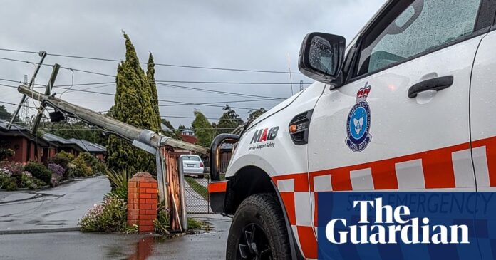 Two dead as severe weather brings down trees and powerlines in Tasmania