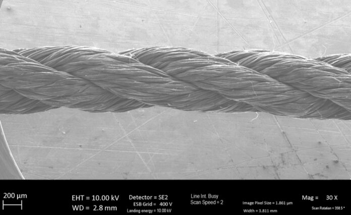 Dexmat: Trellis Climate Tech Startup of 2025