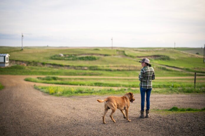 5 Takeaways From Our Investigation on Sexual Abuse Within a Minnesota Old Apostolic Lutheran Church — ProPublica