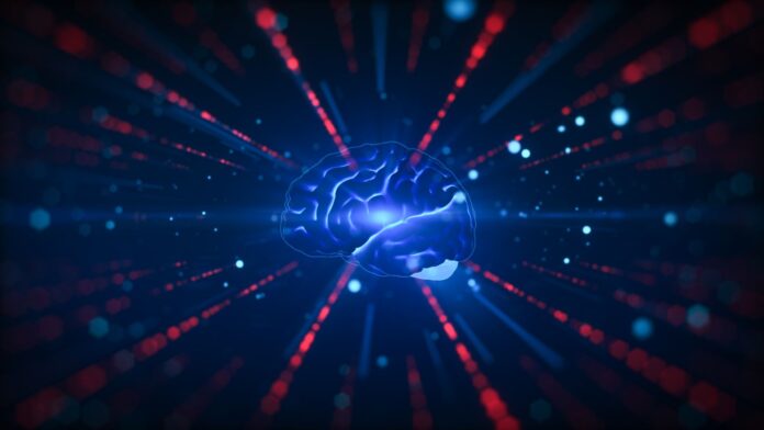 an illustration of a brain in a futuristic, digital style