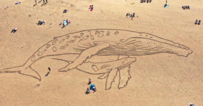 How little plastic does it take to kill marine animals? Scientists have answers