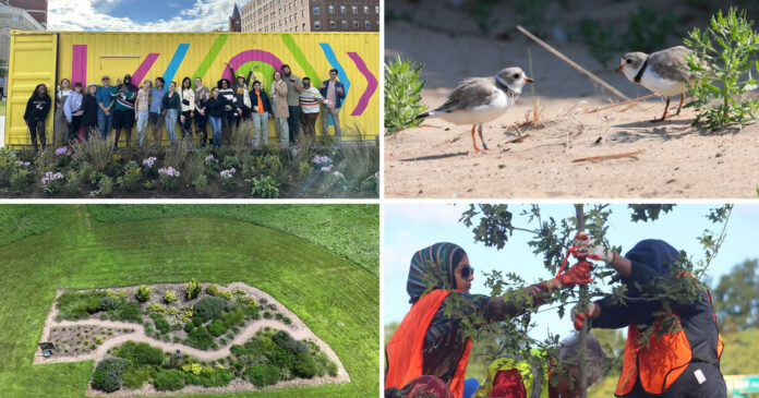 We Asked for Environmental Fixes in Your State. You Sent In Thousands.